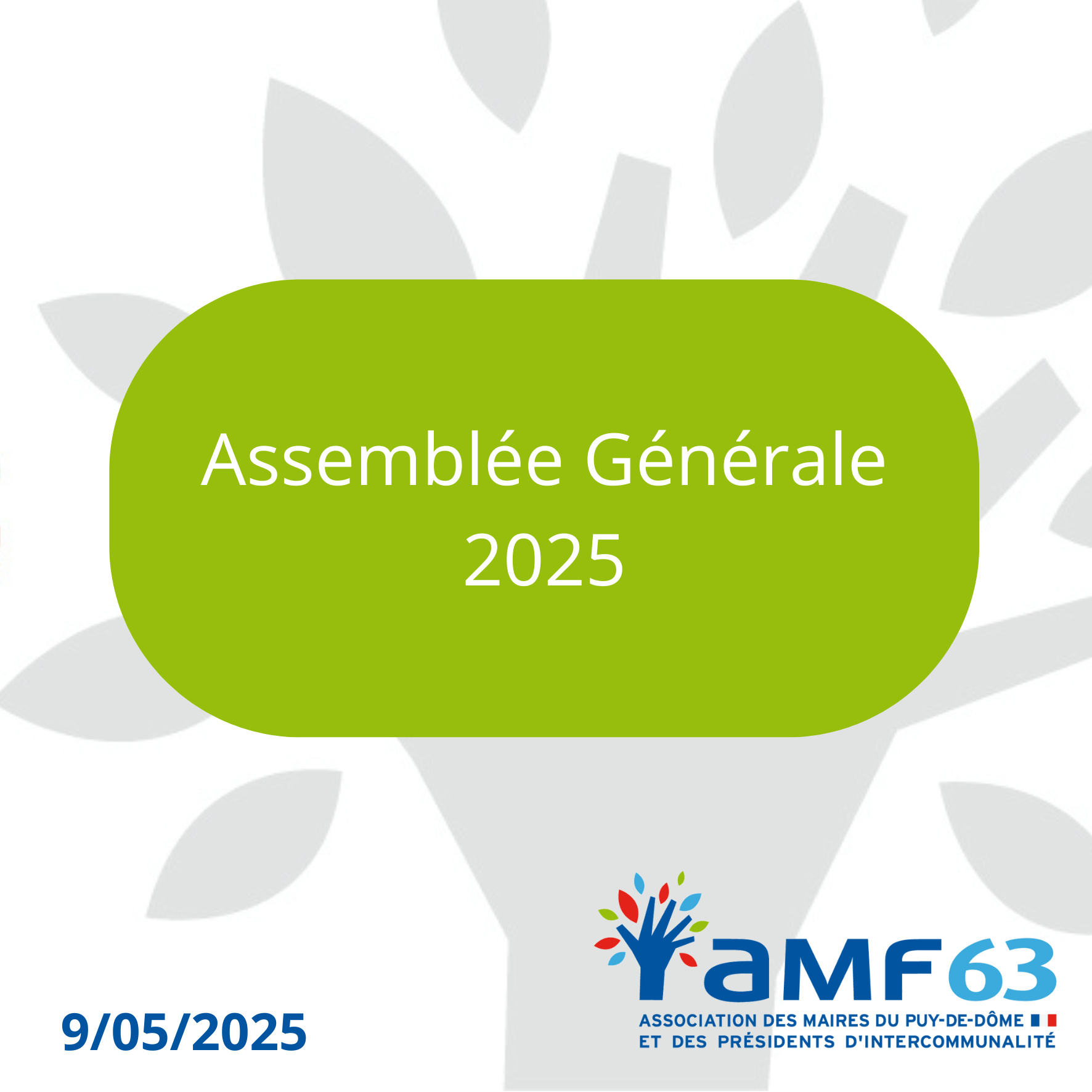 Assemblée Générale 2025